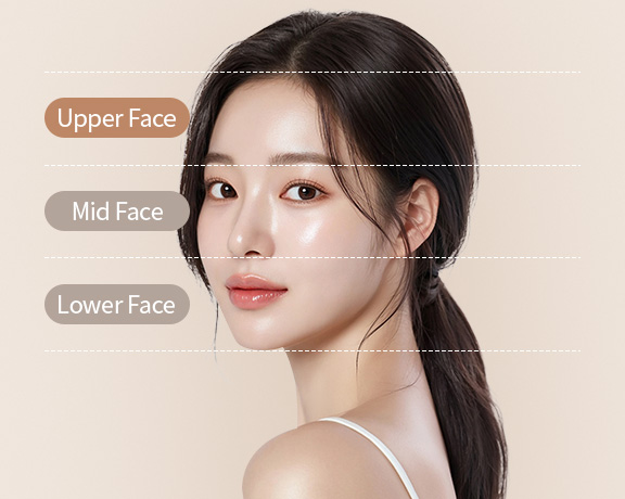 상안면부