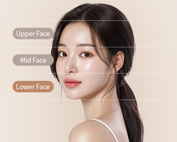 하안면부