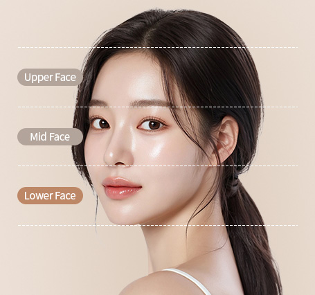 하안면부